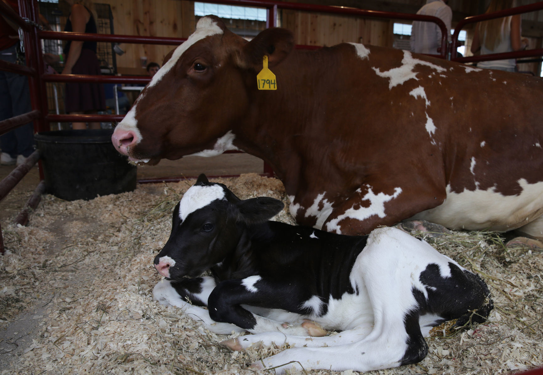 LaPorte County Fair